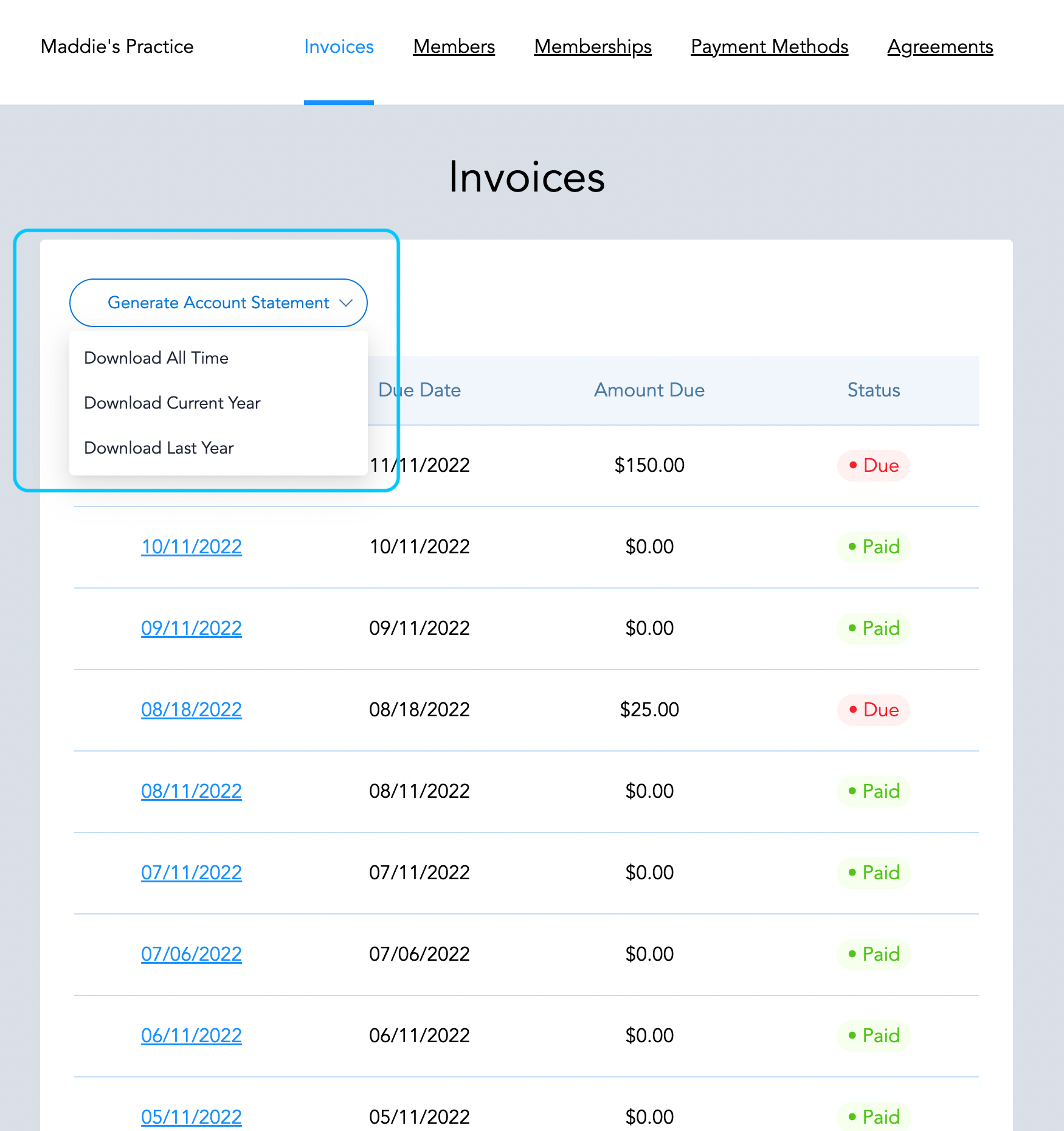 Hint Patient Portal Account Statement screenshot